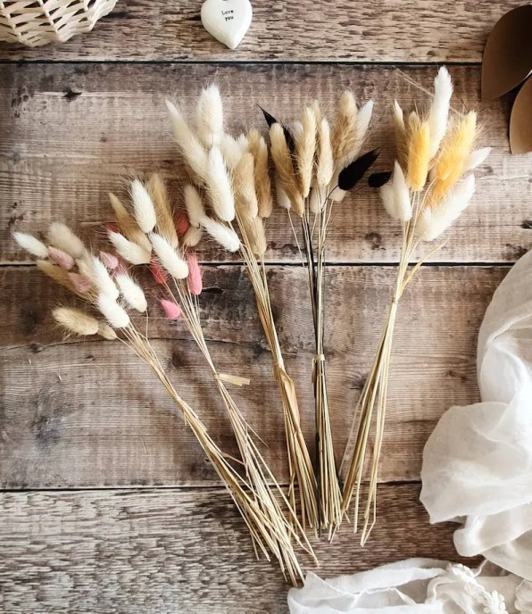 Lagurus Bunny tail Dried Folwer Bouquet image 1